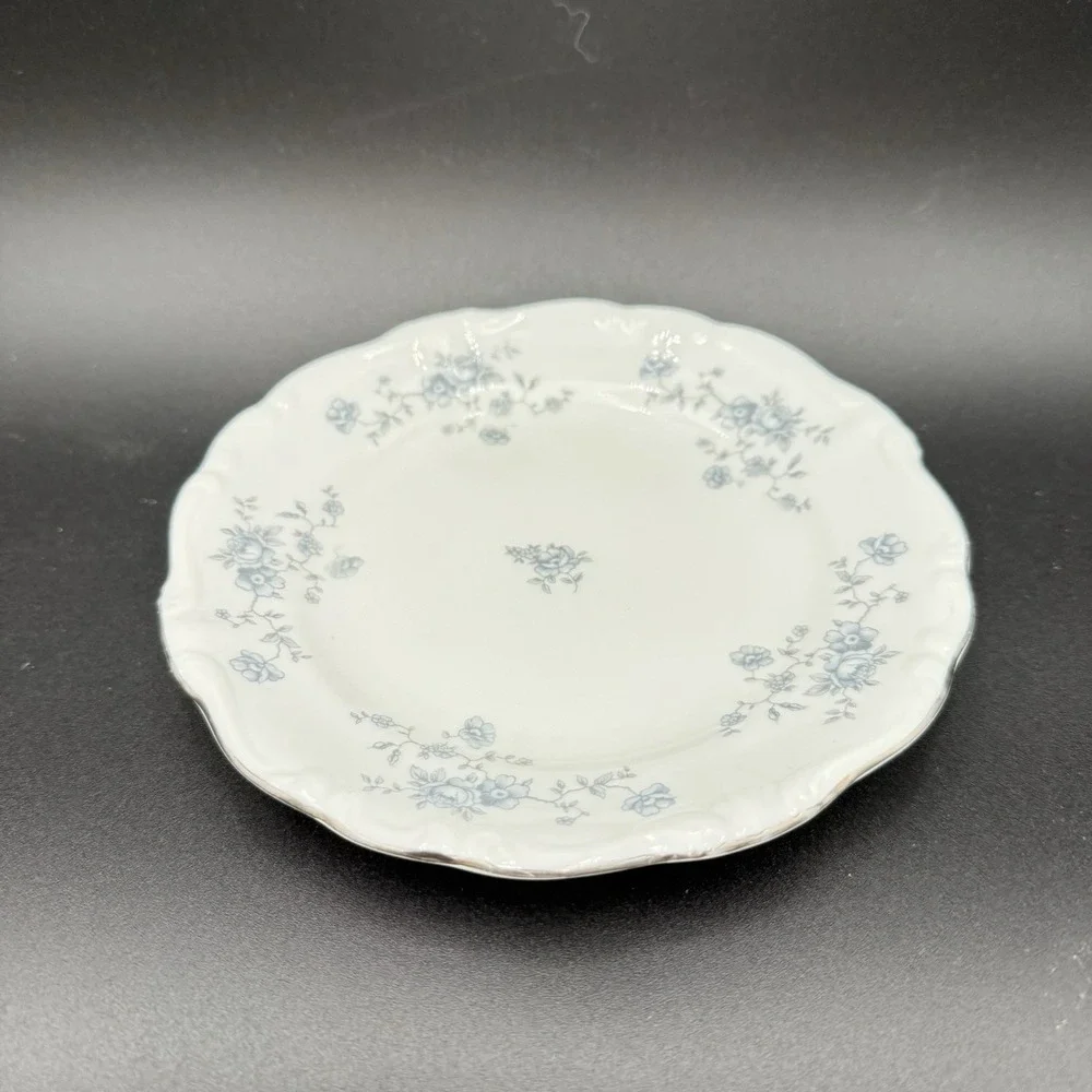 Johann Haviland Blue Garland Bavarian Germany China 10